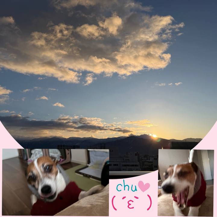 29621279 effe 4642 a591 a6ad64add13d 1767661857841