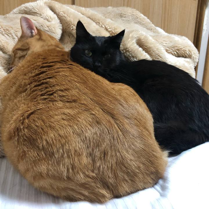 296216f8 15fd 416f a762 45f0a5cfe568 1583143299647