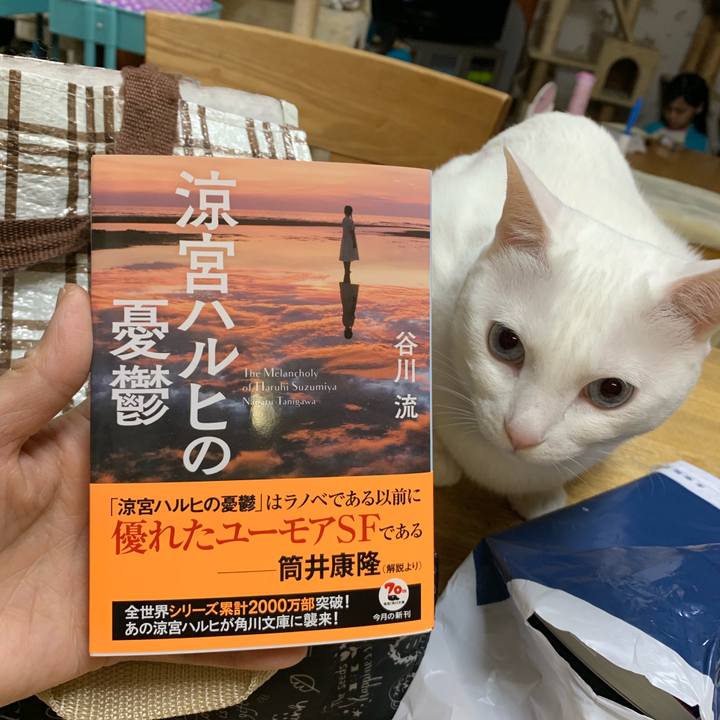 29621e08 f247 41d7 b7cc 5b3bf2947c21 1556432145062