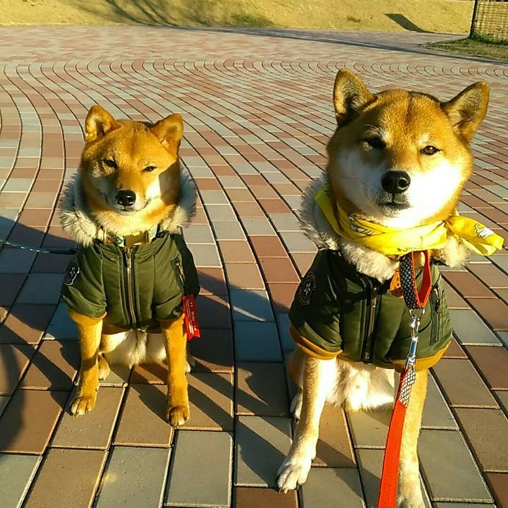 296261f7 9e47 4298 ae9e 7969d167d506 1546067871259