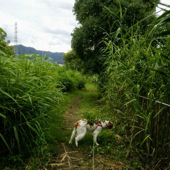 29628a9c 3b37 4525 a968 38e06037e2e3 1563709807729