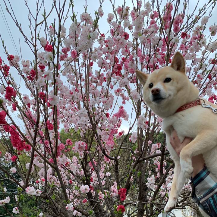 2962c313 b1b6 4bcd 8f11 fa72d29c63dc 1616885836780