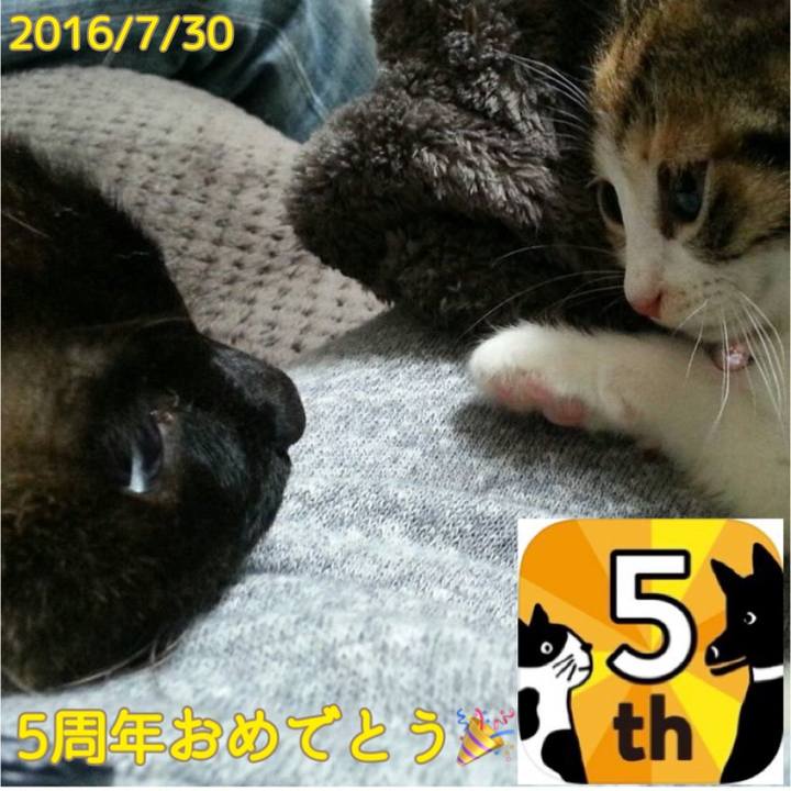 29630612 3c62 4897 8cb4 2b7d2ef7a74a 1622847748886