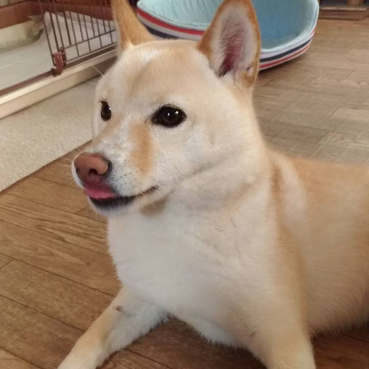 2963640f 2b56 49e7 bb04 671ee6a3cc48 1560640306831