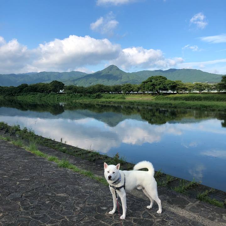 29637dfe d3cf 4eaf 94ea b104d4195f6e 1566427637704