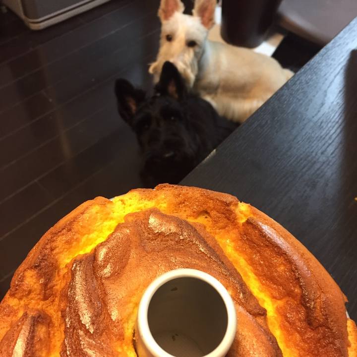 2963b49f 9919 4c01 9193 f5aece0f77b4 1541492580221