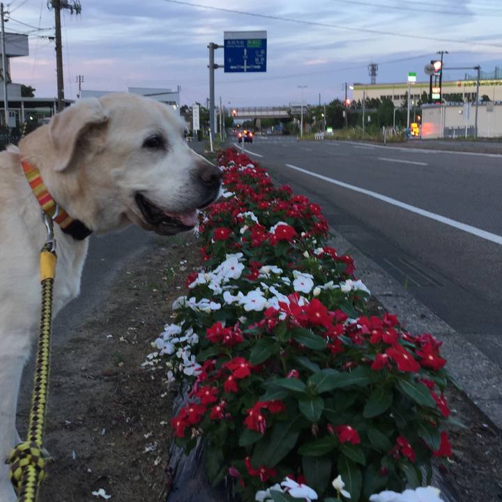 2963c6cb 2618 4e01 a10f ebfff377b60a 1560814572840