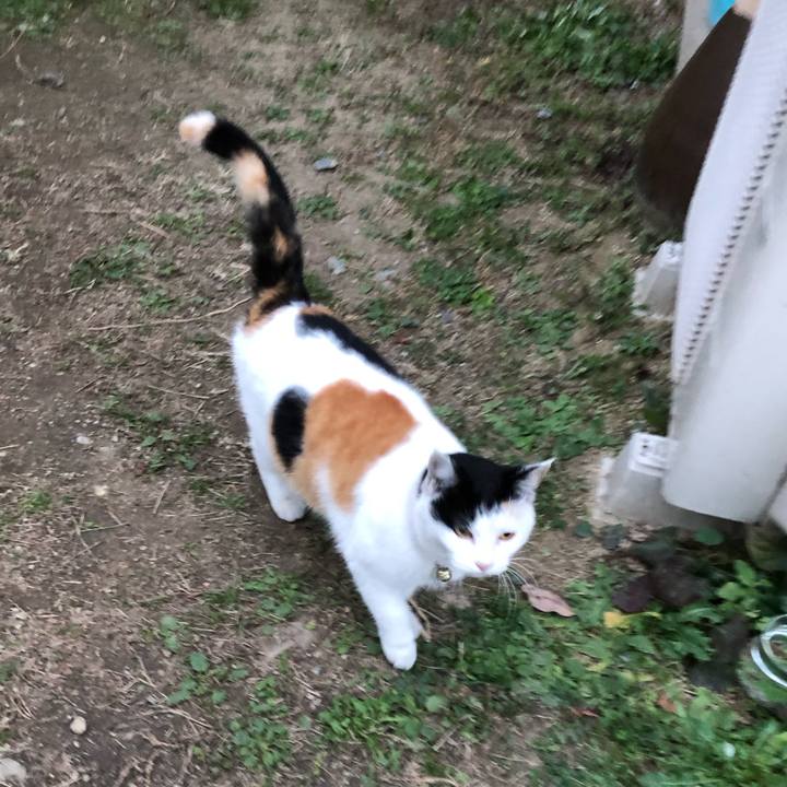 2963f474 206b 4a39 9c08 ff6e291b57b2 1606687788198