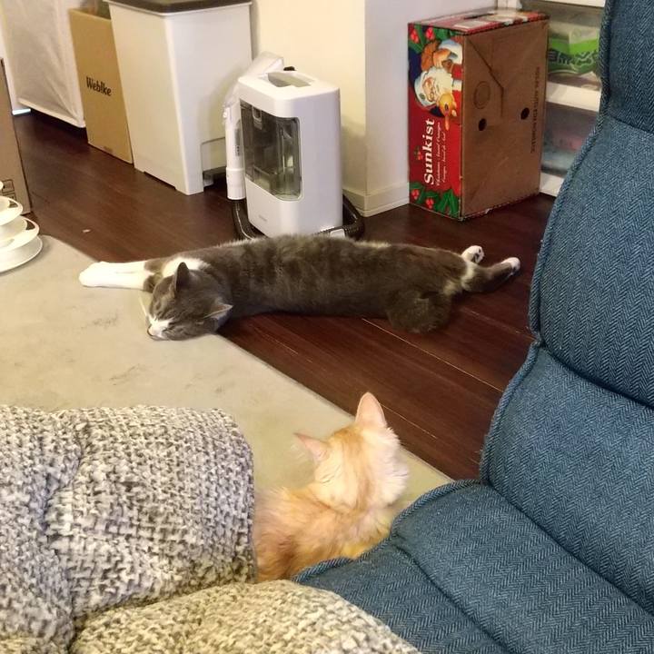 2964410c 22c6 4e94 9716 6abdfb34c6b6 1611717405721