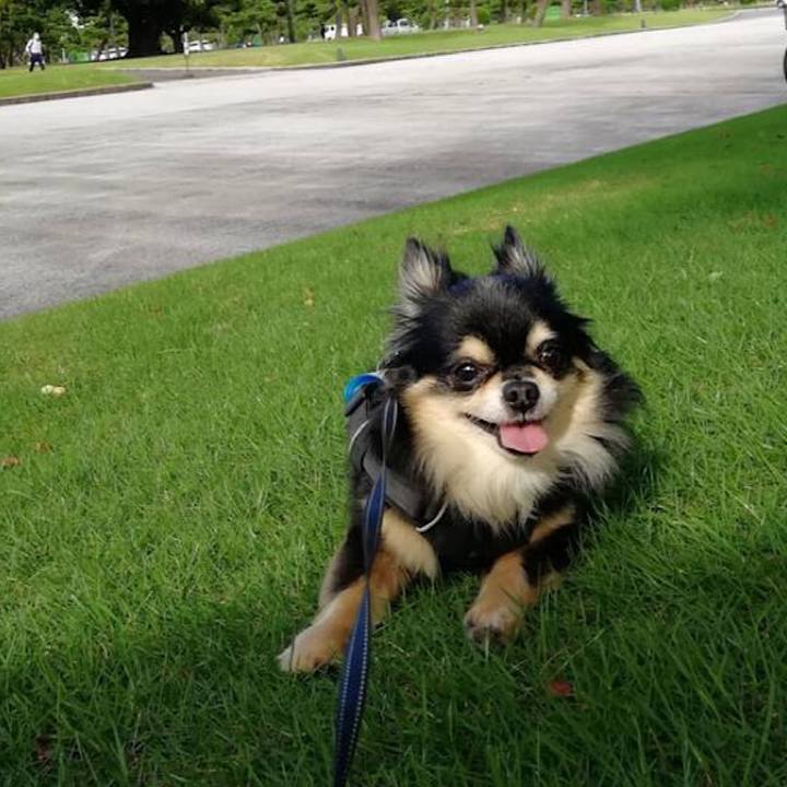 29644ee8 3afb 405b a328 0c9da7793120 1662450098928