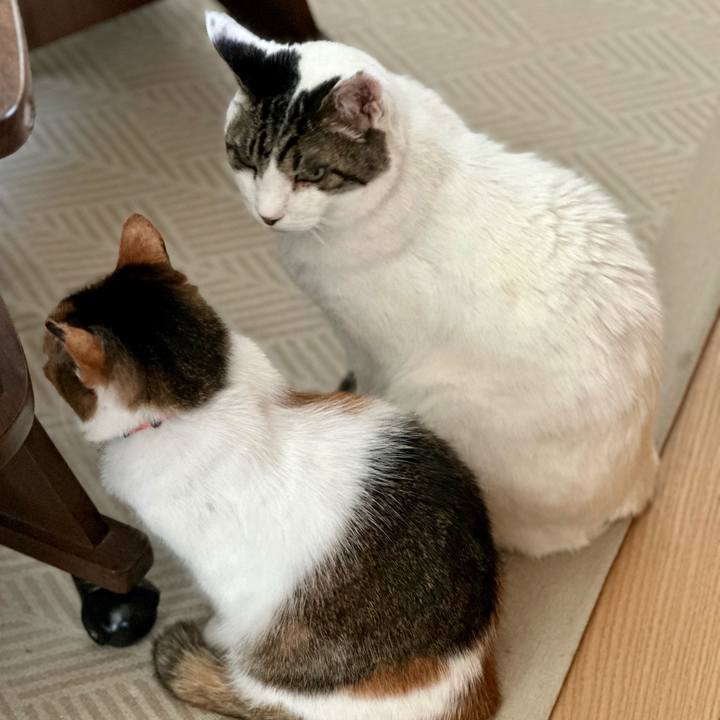 29645fa3 ffc1 464b b564 a1c1c0554b80 1684208725930