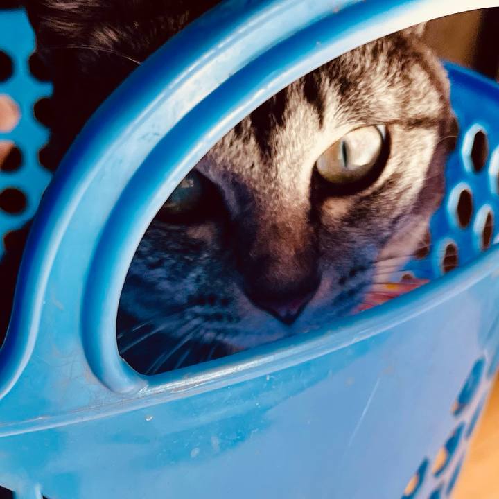 2964819e 9a25 430c 9f63 1bead76fead4 1766202333142