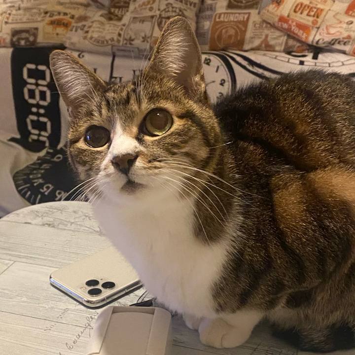 29649300 5e89 4d95 9a5d 29ef2f445897 1673969258214