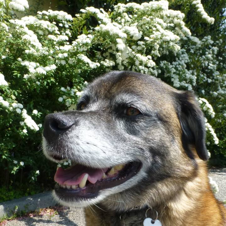 2964ba90 6a7a 4972 8b1b 86dc71e4e110 1581727989556