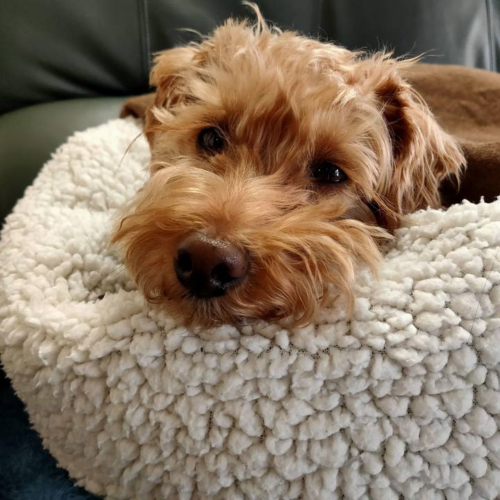 2964be17 ec71 402e 8ac1 cc2c8fab7cc7 1611703517752