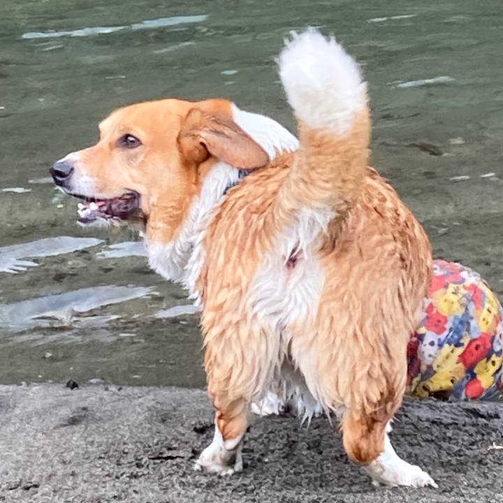 2964c770 93fc 4811 b169 36588594b917 1750381695347