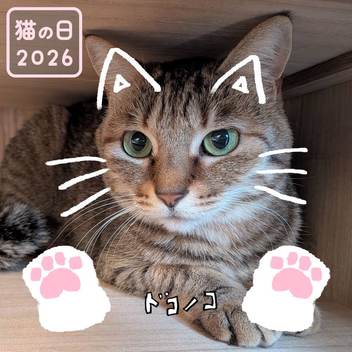 2964e0e7 69fa 447d 814a 16faba31aa1a 1771715178092