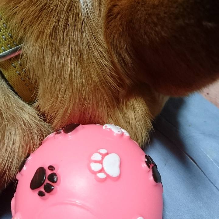 2964e927 f76a 4b1c 8f5b 96fcaf5ecfcd 1586587922844