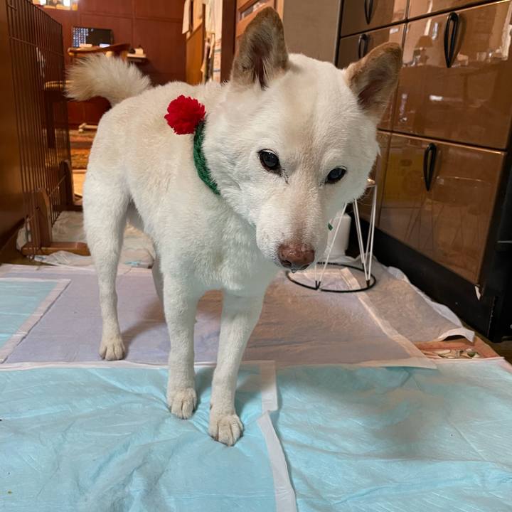 296505c6 cb92 4315 a304 5c1c78a3f250 1639567204050