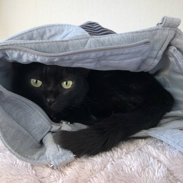 29653b49 dd38 40f2 a121 c66afb13645f 1613136831231