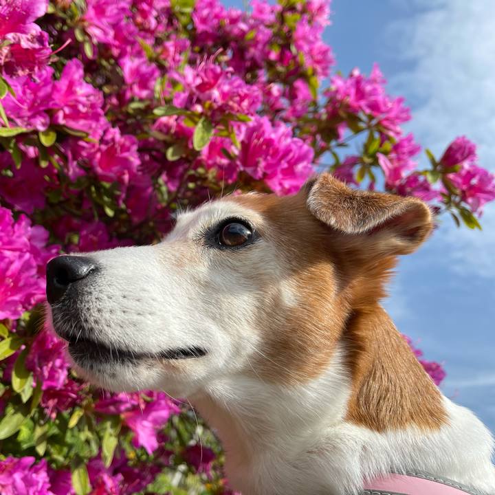 29654388 4635 4f9d 8343 298d9d946968 1627087207747