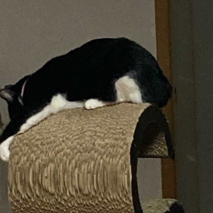 2965456d c0c3 4560 b34f 4de98fa0f9e9 1658666724309