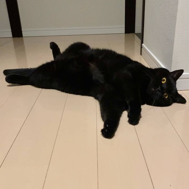 29654898 ae7e 4490 9944 3edbe711c5d6 1635165801549