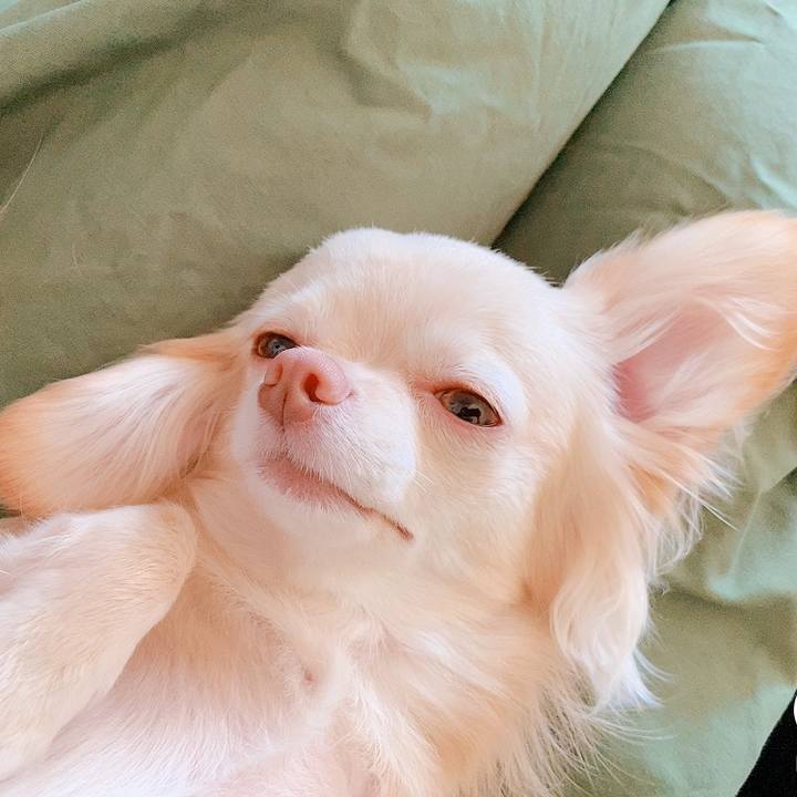 2965ceca 391a 4b29 8734 17428cd2a2d5 1624015134645