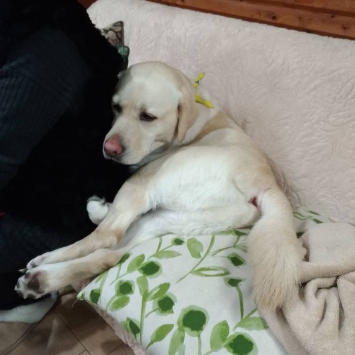 2965d67d c767 44c1 95ab c00de9aec17c 1550110509898