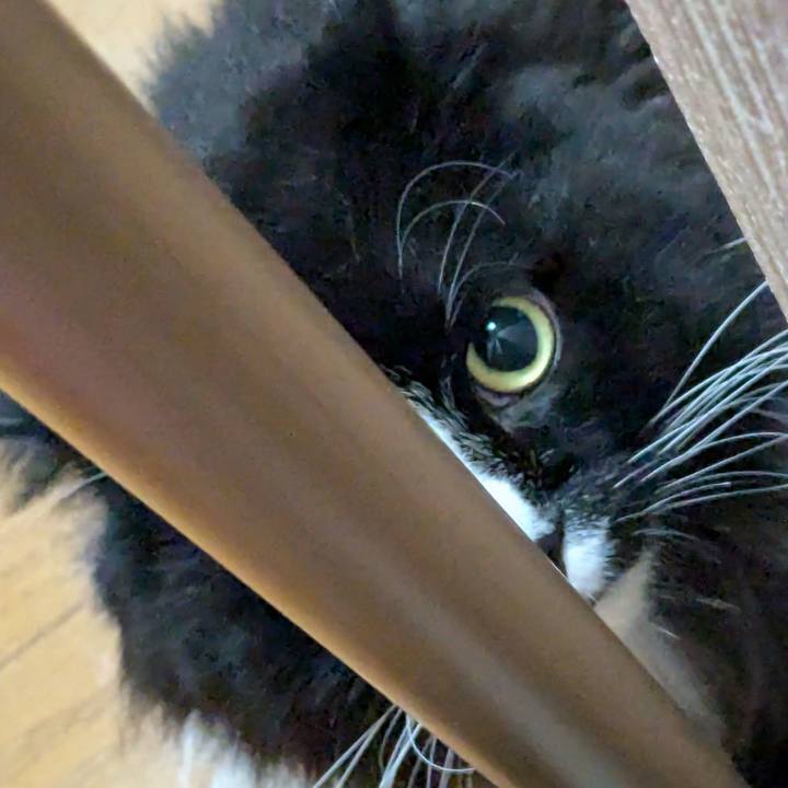 2965eb78 37c9 4d3a a454 247126805179 1727909802058