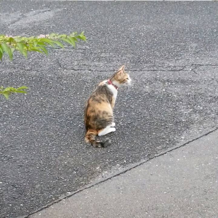 2965f368 701e 4096 a5f7 926118f9d2cd 1563178125198