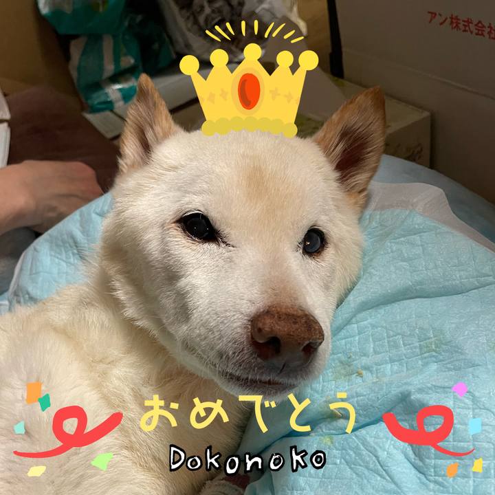 29661cf4 2a4a 46b1 9d9b 2e0def4f1efe 1685974470604