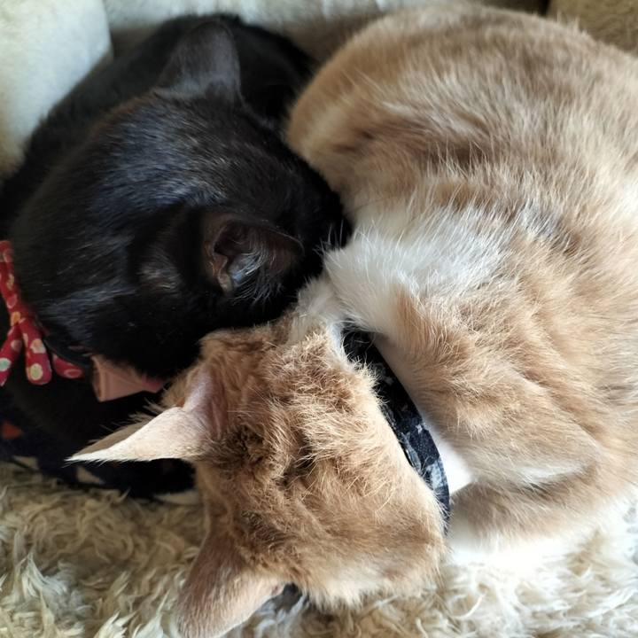 29661daa 1294 458c aa34 a5809b551bdc 1644651330955