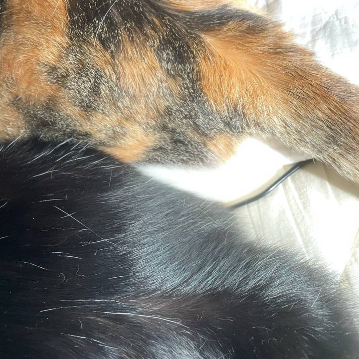 29664d13 a0cc 49f7 af5a cdc12aaa6c39 1622618684144