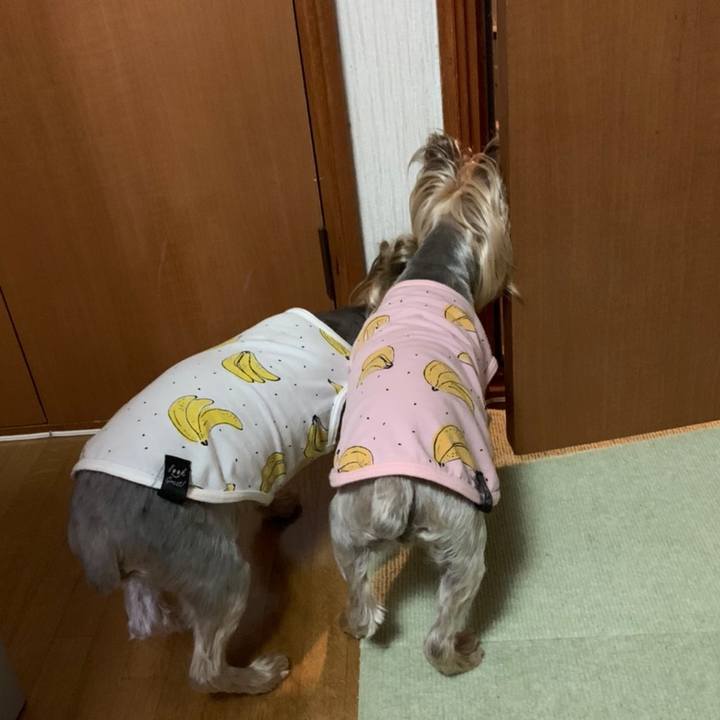 29665ee2 5966 4def a6a7 1860577e3d6b 1619343131384