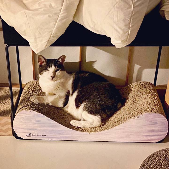 29666845 6dd4 4d87 b345 00a141741b94 1594390678188