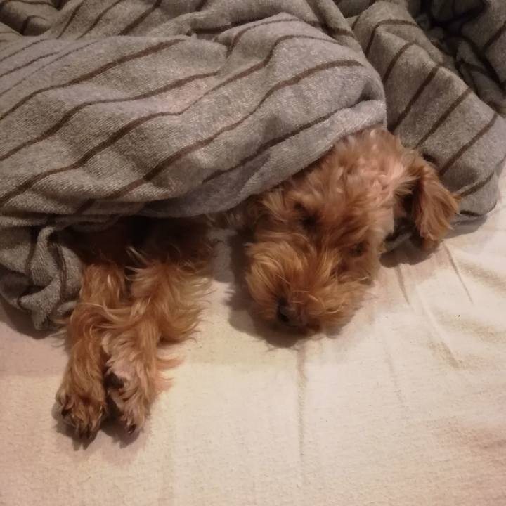 2966b965 2396 4ed7 9cc4 6e064e24b444 1571084784553