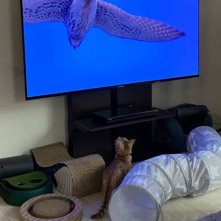 29670e00 8334 4199 8a18 fb1803fc3cdb 1637448760097