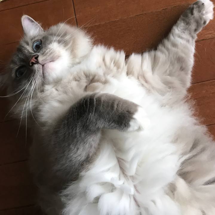 2967d75d 6f2d 44cd 8bfc 63b8d7e18329 1526182277745