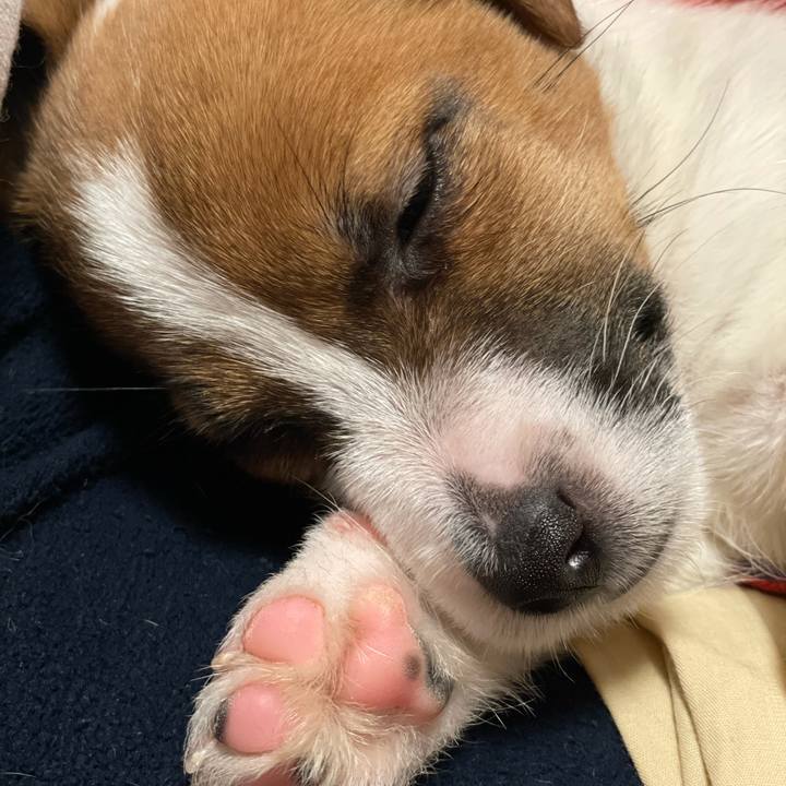 29683e6e a12d 42a0 afd5 6cec1808938e 1615518214665