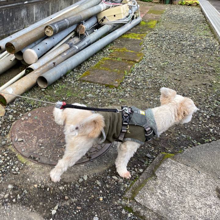 296863a7 9d2d 4e4b 9724 700f3a3a28d5 1603838425631