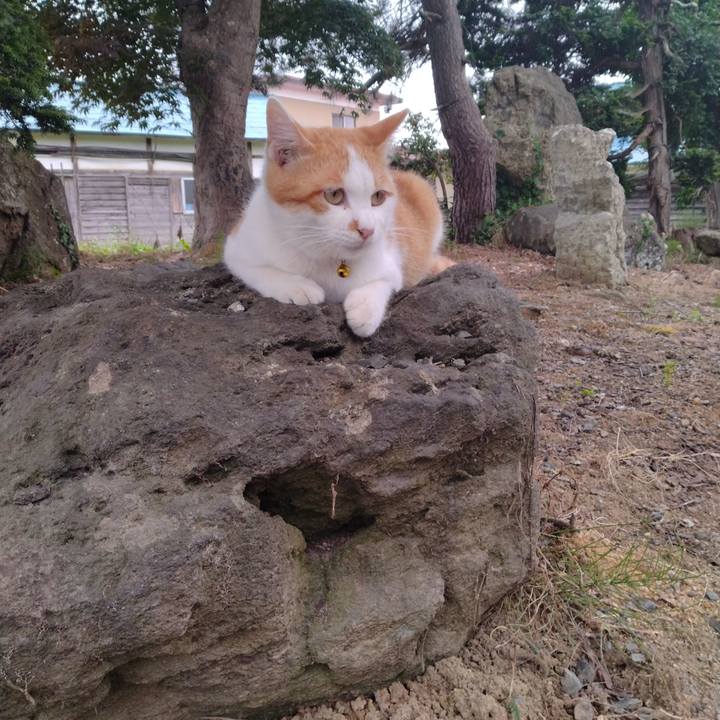 2968b0ad 5db6 4403 ba15 f5ed14e36a77 1750668185618