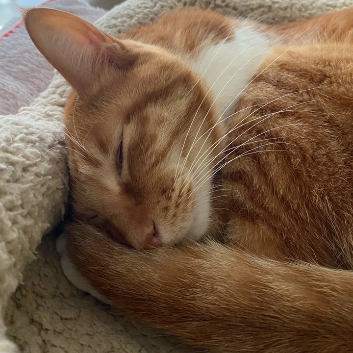 2968b23b 0db6 44ff b6c7 d03ff48043fe 1682738775878