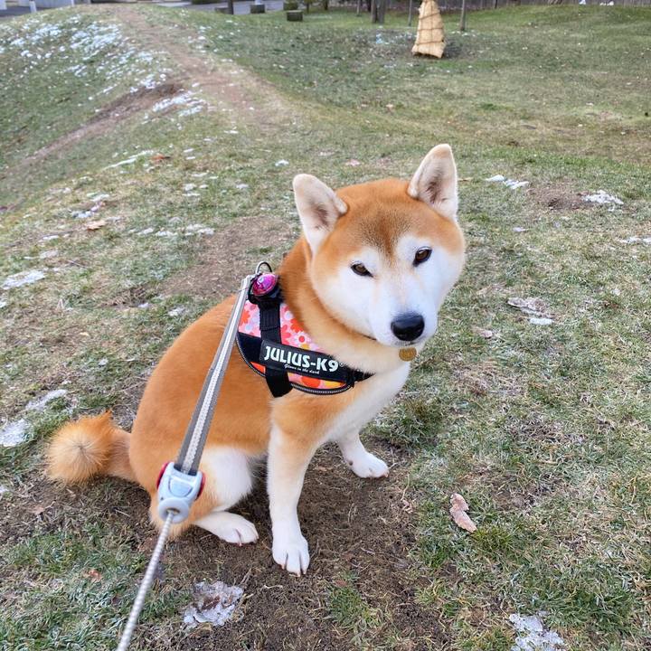 2968b282 36dd 49a4 9a67 d1abb4b7d54d 1606696304385