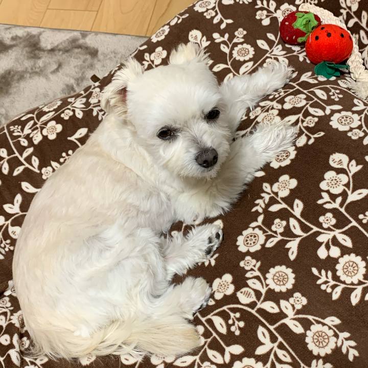 2968c5b8 cbc3 45ab b8a3 73c9a549e2a4 1606997692272