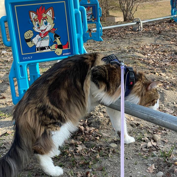 2968fb01 c164 4cdc a209 79d4e874e9ae 1679384699491