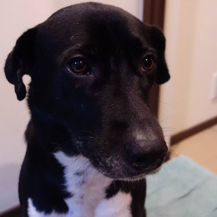 29692e34 3370 403e a109 3cdc3bad6482 1611445685438