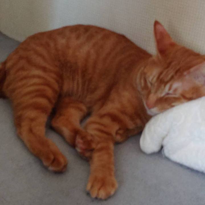 2969330d 1286 460c b752 62ba0d593d67 1600339088419