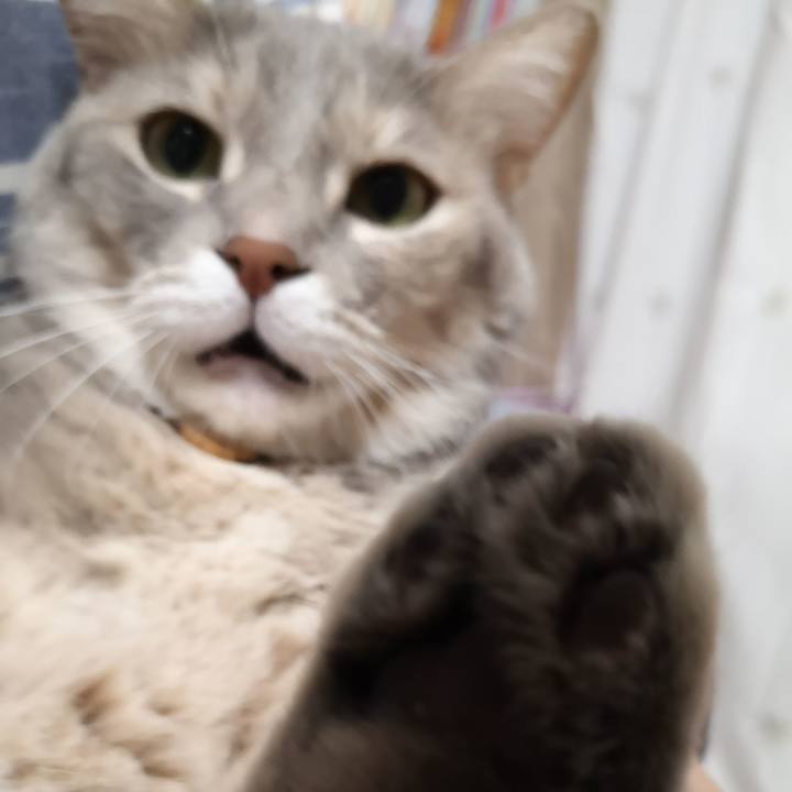 2969413e a7c8 4dd9 a44a 15844ef8f078 1571885741311