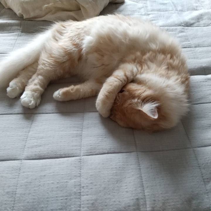 2969b2c4 c73a 4f45 b58b e38a3b118f47 1625711333121